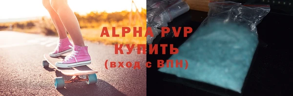 гашик Няндома