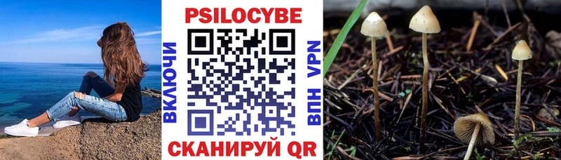 Псилоцибиновые грибы Magic Shrooms  сайты даркнета телеграм  Осинники 